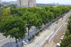 Việc chặt hạ hơn 1.000 cây xanh mới chỉ là đề xuất của Ban Quản lý đầu tư xây dựng các công trình giao thông Hà Nội.