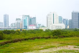 Ảnh minh họa.