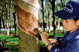 Ảnh minh họa, nguồn: TTXVN.