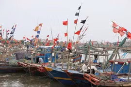 Ảnh minh họa, nguồn internet
