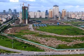 Ảnh minh họa.