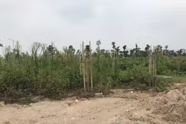 Tình trạng phân lô, bán nền trái quy định ảnh hưởng đến thị trường bất động sản/ Ảnh minh họa.