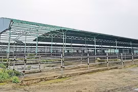 Một góc trại chăn nuôi bò của dự án chăn nuôi bò giống và bò thịt tại Hà Tĩnh do Công ty CP chăn nuôi Bình Hà thực hiện ở địa bàn huyện Kỳ Anh, tỉnh Hà Tĩnh bị bỏ hoang/ Ảnh: sggp.org.vn