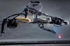 Các nhà khoa học Mỹ có thể cho ra đời robot chạnh nhanh hơn Usain Bolt.