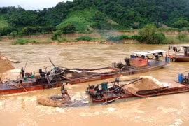 Ảnh minh họa. Nguồn Internet