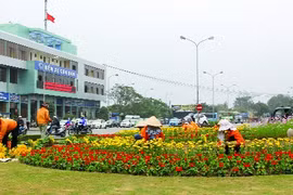 Công nhân Công ty cây xanh thành phố trang trí hoa tại khu vực nút giao thông cầu Rào, phục vụ Tết Nguyên đán Đinh Dậu 2017. (Ảnh: Báo Hải Phòng)