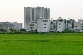 Ảnh minh họa, nguồn internet