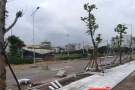 Nhiều nhà đầu tư chậm báo cáo đánh giá đầu tư dự án - Ảnh minh họa.