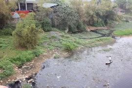 Ô nhiễm sông Đáy (Ảnh: Quang Vững)