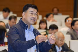 Đại biểu Nguyễn Ngọc Bảo cho rằng áp thuế tự vệ thương mại cần chú ý đến yếu tố thị trường. Ảnh: Quochoi.vn
