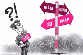 Ảnh minh họa. (Nguồn: Internet)