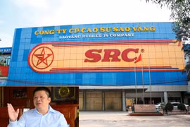 Vì sao ông chủ Hoành Sơn vượt qua nhiều đại gia địa ốc thâu tóm hơn 6ha đất vàng đường Nguyễn Trãi?