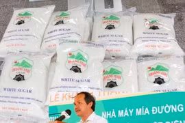 “Tập đoàn HAGL đang gặp rất nhiều khó khăn về dòng tiền…”