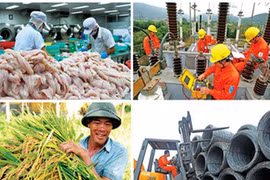 Tiến hành Tổng điều tra kinh tế từ 1/3/2017.
