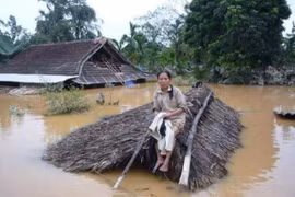 Ảnh minh họa. (Nguồn: Internet)