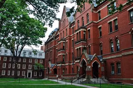 “Harvard là nơi người ta đeo lên mình những khuôn mặt giả tạo chính đáng”