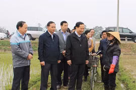 Bí thư Tỉnh ủy Thanh Hóa Trịnh Văn Chiến (thứ 4 từ trái qua) đang đối thoại với người dân trong một lần kiểm tra tình hình gieo cấy tại xã Thái Hòa, huyện Triệu Sơn, vào tháng 2 vừa qua - Ảnh: Cổng TTĐT tỉnh Thanh Hóa