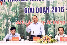 Thủ tướng Chính phủ Nguyễn Xuân Phúc. (Ảnh: VOV)