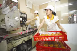 Nguồn ngoại tệ trong nước chủ yếu cho vay ngắn hạn. Vì vậy, doanh nghiệp trong nước muốn vay trung - dài hạn để phục vụ mở rộng sản xuất kinh doanh, thực hiện dự án đầu tư thì buộc phải tìm cách vay ngoại tệ từ nước ngoài. Ảnh: MINH KHUÊ