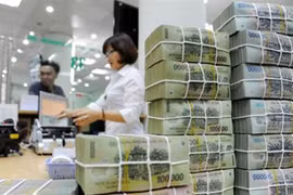 Suốt nhiều năm qua và cho đến nay, loại tiền gửi ngân sách nhà nước có quy mô lớn, chỉ tập trung gửi ở các ngân hàng thương mại nhà nước, như một “đặc quyền”, lợi thế riêng.