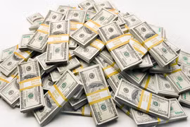 Từ 18-12, cá nhân gửi USD chỉ hưởng lãi suất 0%/ năm 