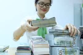 Đưa lãi suất USD lên khỏi mặt đất cũng đúng cả nghĩa đen và nghĩa bóng. Đó là nâng lãi suất lên trên 0% sẽ tạo động lực kéo nguồn ngoại tệ nhàn rỗi đang “chôn dưới đất” trong dân cư - Ảnh: Quang Phú