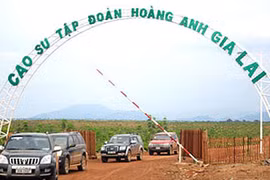 Ảnh minh họa. (Nguồn: Internet)