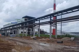 Kiểm tra việc chấp hành bảo vệ môi trường của Nhà máy giấy Lee&Man.