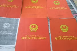 Ảnh minh họa. (Nguồn: Internet)