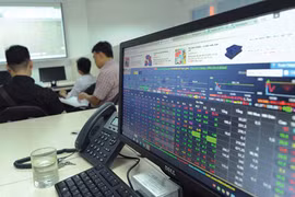 Ảnh minh họa. (Nguồn: Internet)