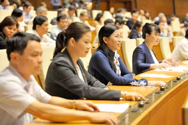 Đại biểu nhấn nút thông qua Luật.