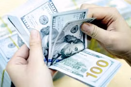 Điều hành tỷ giá trung tâm có lên, có xuống hàng ngày đã giảm tâm lý găm giữ ngoại tệ.