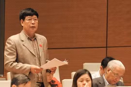 Đại biểu Phạm Xuân Thường còn băn khoăn về báo cáo nhiệm kỳ của Chủ tịch nước.