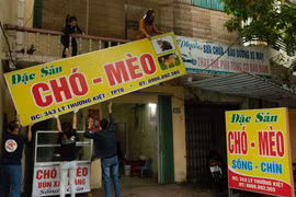 Tổ chức FOUR PAWS đóng cửa nhà hàng thịt mèo, giải cứu nhiều động vật (Ảnh: Thái Bình)