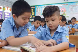 Học sinh Trường Tiểu học Triệu Thị Trinh, quận 10 trong một tiết học. Ảnh: Nguyễn Quyên
