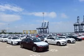 Dự báo, lượng xe nhập khẩu sẽ tiếp tục gia tăng trong các tháng tiếp theo khi lần lượt các hãng có được đầy đủ các giấy tờ theo tiêu chuẩn của Nghị định 116 và Thông tư 03