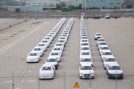 Bộ GTVT yêu cầu các doanh nghiệp nhập khẩu ô tô nghiêm túc thực hiện các quy định tại Nghị định 116 và Thông tư 03.