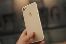 Phone 7 qua sử dụng có ngoại hình đẹp, nhiều máy chỉ sạc 1-2 lần, giá bán hiện ở mức 13,5 triệu đồng. Ảnh: Thành Duy.