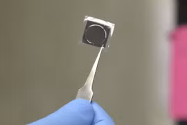 Chip thông minh Tissue Nanotransfection (TNT)