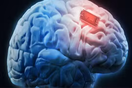 Tăng cường bộ nhớ của những người bị bệnh Alzheimer (Ảnh: Shutterstock)