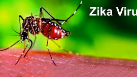 Virus Zika (nguồn Internet)