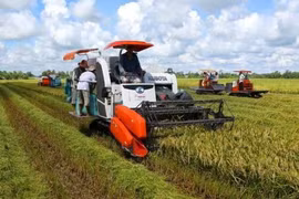 Doanh nghiệp Đồng bằng sông Cửu Long trước cuộc cách mạng công nghiệp 4.0. Ảnh minh họa