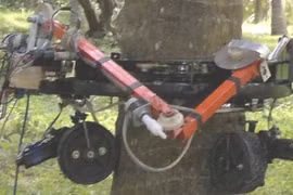 Ảnh robot trong thực tế