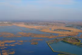 Hồ Bạch Dương 