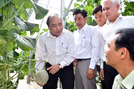 Thủ tướng thăm mô hình nông nghiệp công nghệ cao tại Bình Phước. Ảnh: VGP/Quang Hiếu