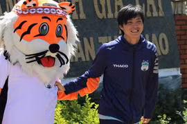 Làm thế nào để cho “hổ Bi Rai” trở lại bản năng săn mồi như kỳ vọng? Ảnh HAGLFC.