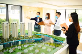 Các cá nhân phải làm việc trong doanh nghiệp, tham gia đào tạo, bồi dưỡng kiến thức hàng năm,...mới đủ điều kiện hành nghề bất động sản.