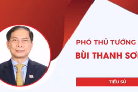 Infographic: Chân dung Phó Thủ tướng Bùi Thanh Sơn, Bộ trưởng Bộ Ngoại giao
