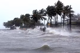 Bão Krathon trở thành cơn bão số 5 trong năm 2024. (Ảnh: Windy)