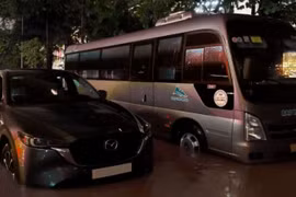 Ứng phó bão lớn: Kinh nghiệm tốc độ và giải pháp hợp lý là chìa khóa